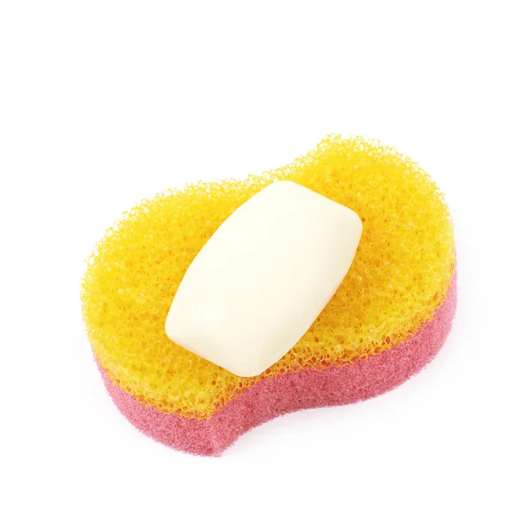 Bath sponge isolated — Stock Photo, Image