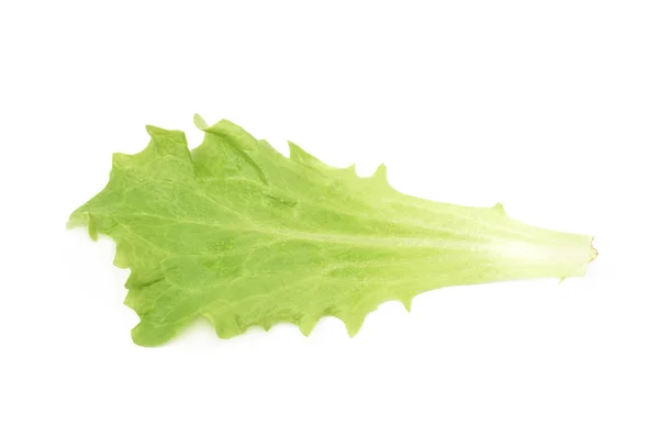 Frisse salade blad geïsoleerd — Stockfoto