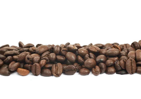 Line of multiple coffee beans isolated — Stock Photo, Image