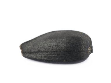 İzole tek ayçiçeği tohumu