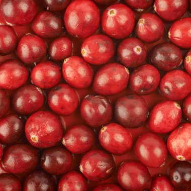 Cranberries ile kaplı yüzey