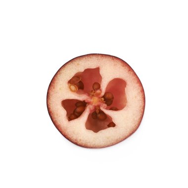 Kızılcık kesit izole