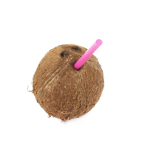 Enda hela kokos isolerade — Stockfoto