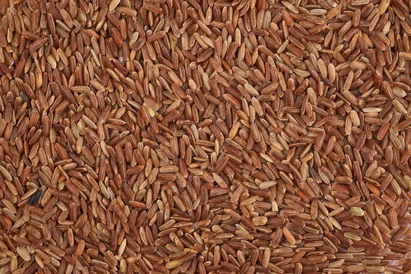 Kahverengi pirinç taneleri ile kaplı yüzey — Stok fotoğraf