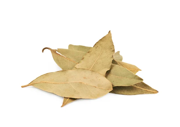 Montón de hojas de laurel secas aisladas — Foto de Stock