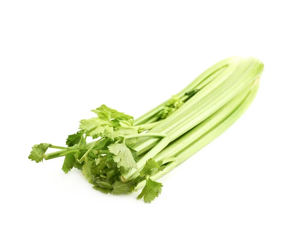 Green fresh celery isolated — Stock Photo, Image