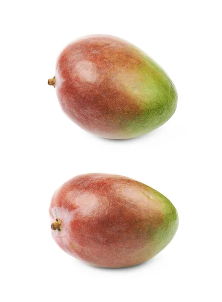 Одинарні стиглі фрукти манго ізольовані — стокове фото
