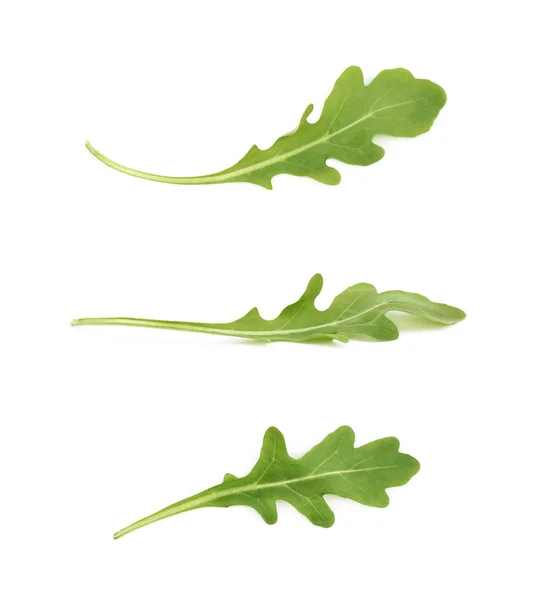 İzole tek yeşil roket salata yaprağı — Stok fotoğraf