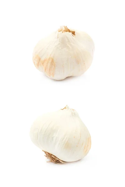 Pojedynczej cebulki czosnku na białym tle — Zdjęcie stockowe