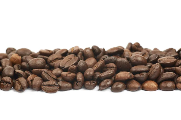 Line of multiple coffee beans isolated — Stock Photo, Image