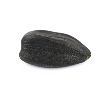 İzole tek ayçiçeği tohumu