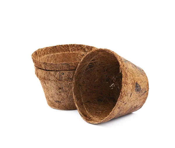 Pote de coco degradável isolado — Fotografia de Stock