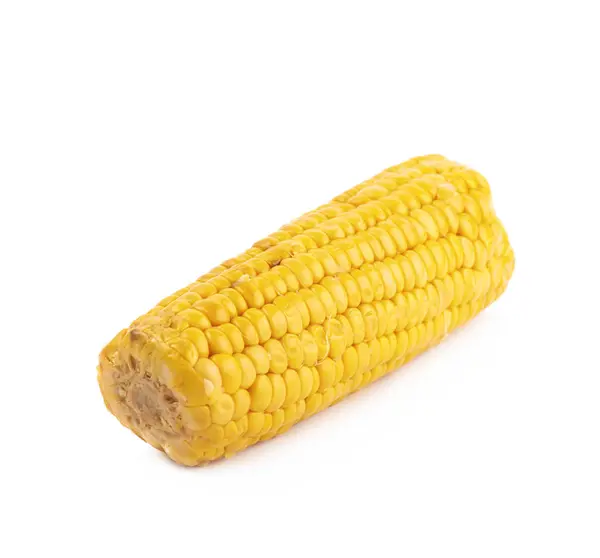 Single corncob isolated — Stock Photo, Image