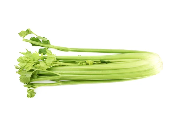 Groene verse selder geïsoleerd — Stockfoto