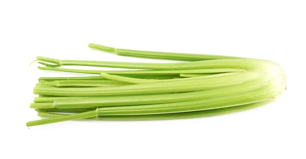 Zelený čerstvý celer, samostatný — Stock fotografie