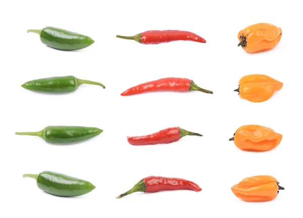 Conjunto de pimenta vermelha, laranja e verde — Fotografia de Stock