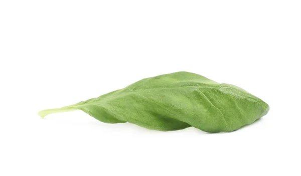 Fresh basil leaf isolated — Stock Photo, Image