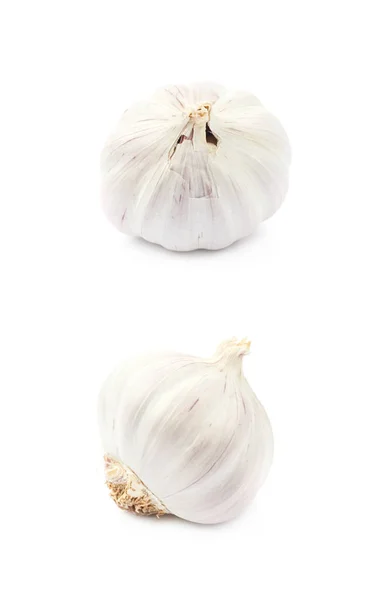 Единичная луковица чеснока — стоковое фото