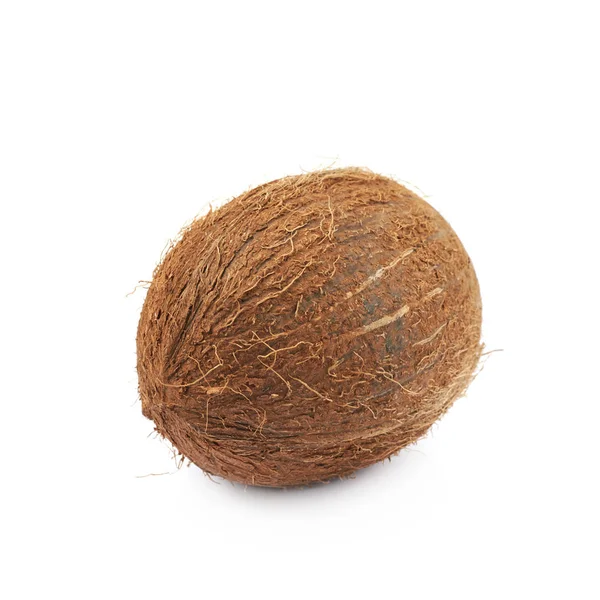 孤立的单个整个椰子 — 图库照片