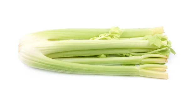 Zelenina celer, samostatný — Stock fotografie