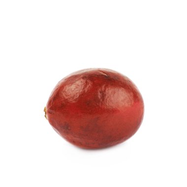 İzole tek olgun kızılcık