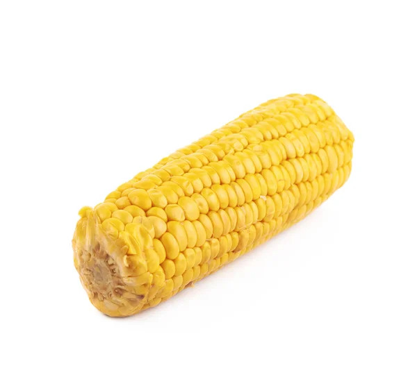 Single corncob isolated — Stock Photo, Image