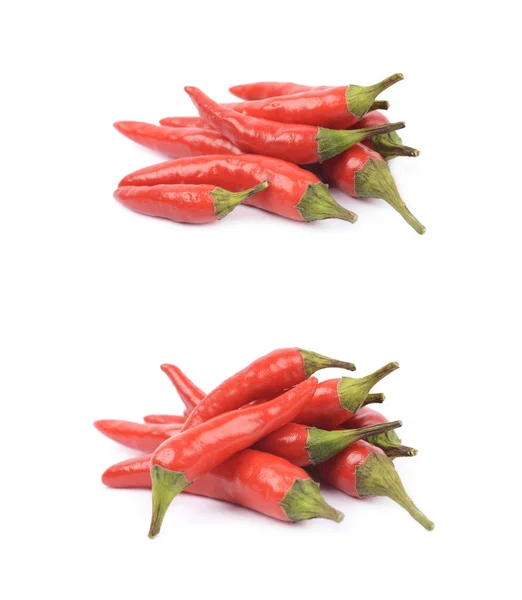 Rote italienische Paprika isoliert — Stockfoto