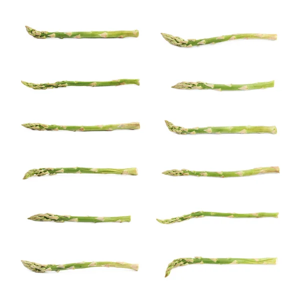 Single spear of asparagus isolated — Stock Photo, Image