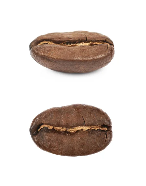 Grano de café aislado —  Fotos de Stock