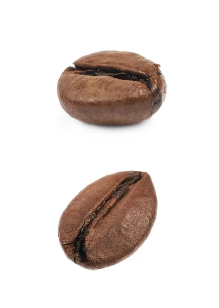 Enda kaffebönor isolerade — Stockfoto