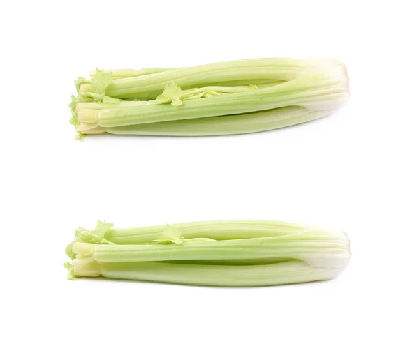 Seler warzyw na białym tle — Zdjęcie stockowe