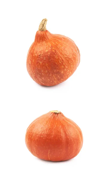 Rijp oranje pompoen geïsoleerd — Stockfoto