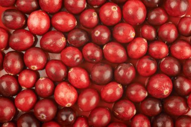 Cranberries ile kaplı yüzey