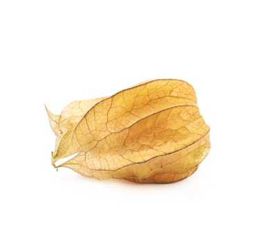 Physalis meyve berry izole