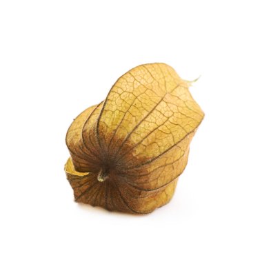 Physalis meyve berry izole