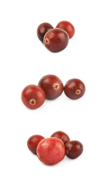 Pile of red cranberries isolated — Stock Photo, Image