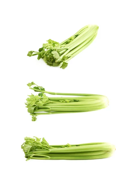 Green fresh celery isolated — Stock Photo, Image
