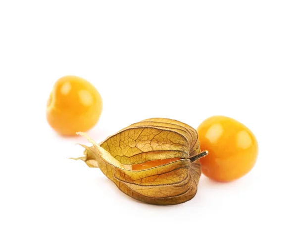 Composition of couple physalis fruits — Stock Photo, Image