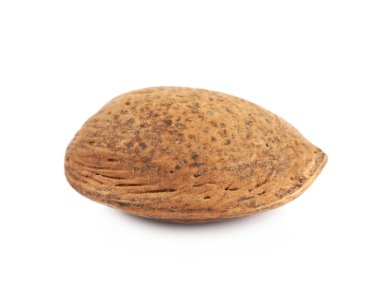 İzole tek badem fındık