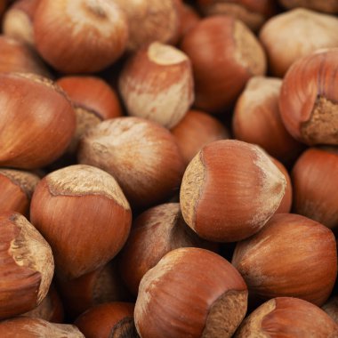 Fındık ile kaplı yüzey