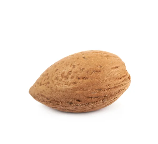 Single almond nut isolated — Stock Photo, Image