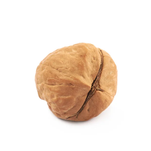 Single walnut isolated — Stock Photo, Image