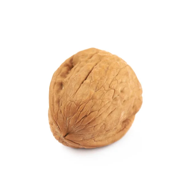 Single walnut isolated — Stock Photo, Image