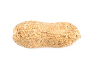 İzole bir kabuk tek fıstık