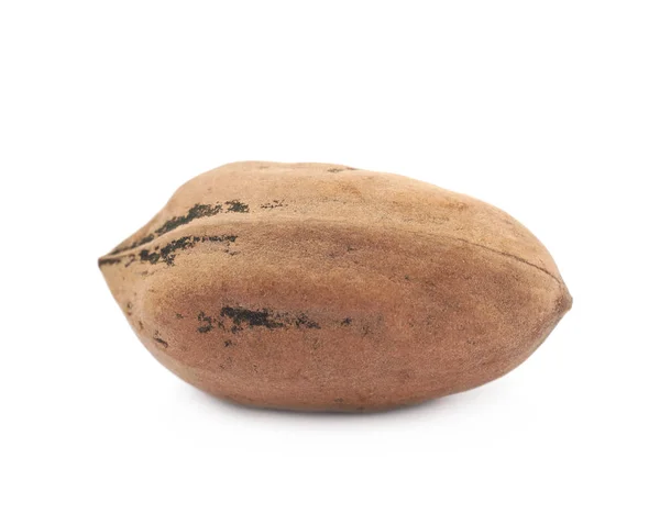 Одиночный орех ореха — стоковое фото