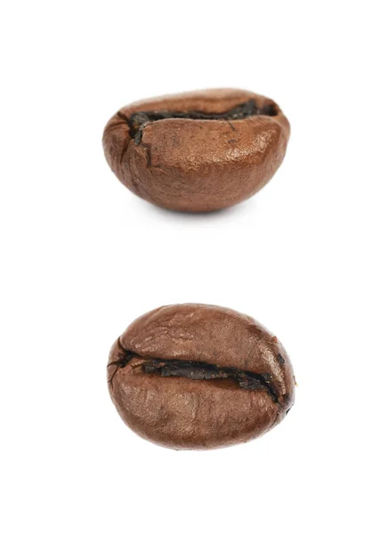 Einzelne Kaffeebohnen isoliert — Stockfoto