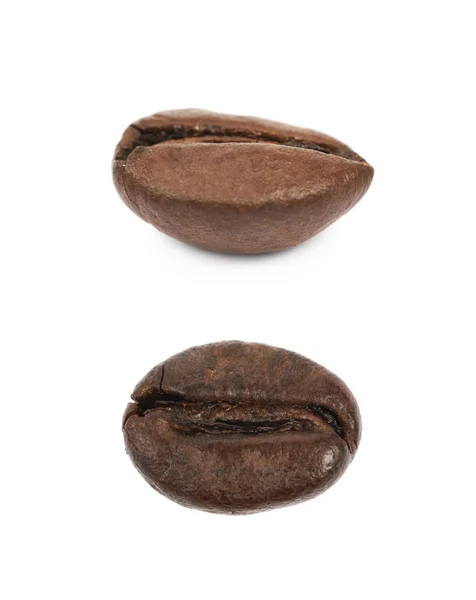 Single coffee bean isolated — Stock Photo, Image