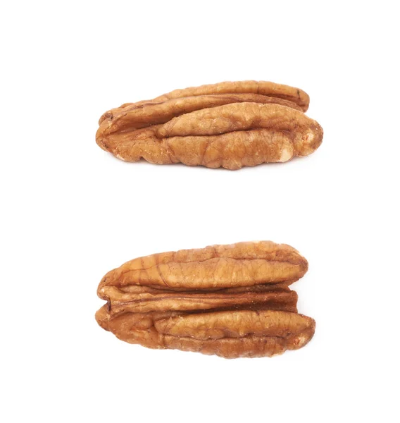 Single pecan nut isolated — Stock Photo, Image