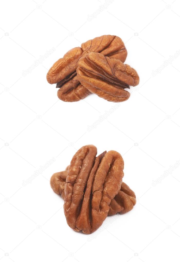 Two pecan nuts isolated