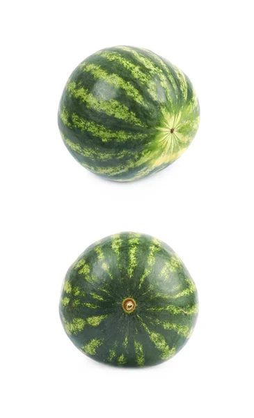 Jeden celý meloun, samostatný — Stock fotografie